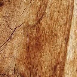 Wood