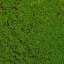 Moss