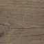 Plank