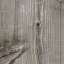 Plank