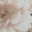 Textile
