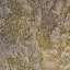 Stucco