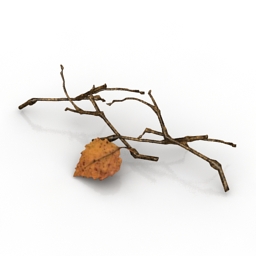 branches 1 3D Model Preview #3f500c8e