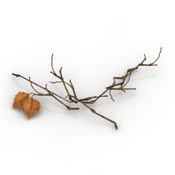 3D Branches preview