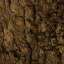 Bark