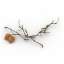 Branches