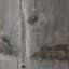 Plank