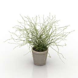 3D Plant preview