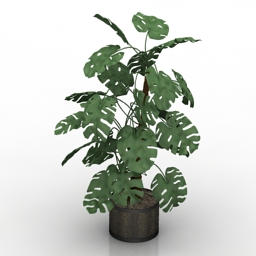plant house mano de leon 3D Model Preview #1171c1bf