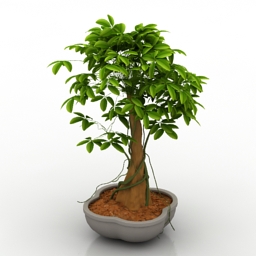 3D Plant preview