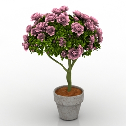 3D Plant preview