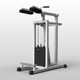 gym calf 3D Model Preview #cb3c3a40