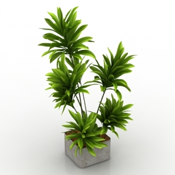 plant house 3D Model Preview #8d71f057