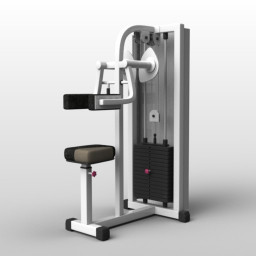 3D Gym preview