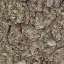 Bark