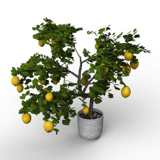 Lemon 3D model large preview