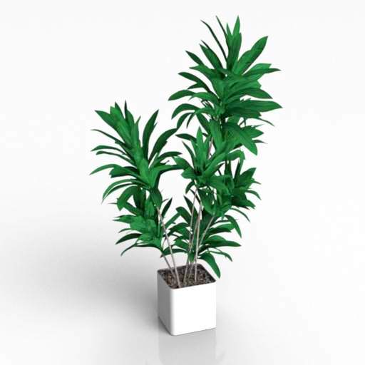 Plant 3D model large preview