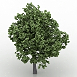 3D Tree preview