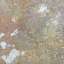 Stucco