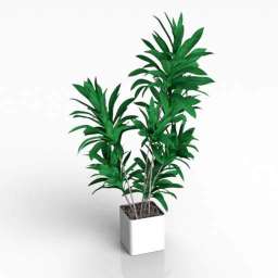 3D Plant preview