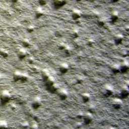 Stucco