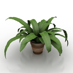 3D Plant preview