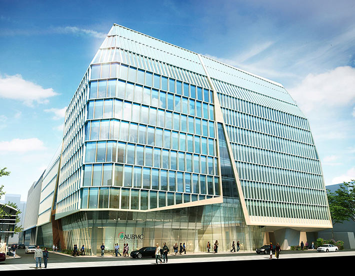 American University of Beirut Medical Center, Beirut, Lebanon