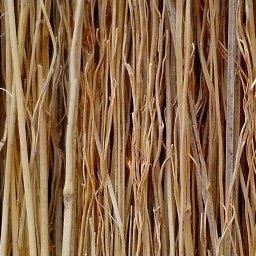 Broom