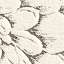 Textile