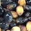 Seeds