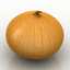 Onion