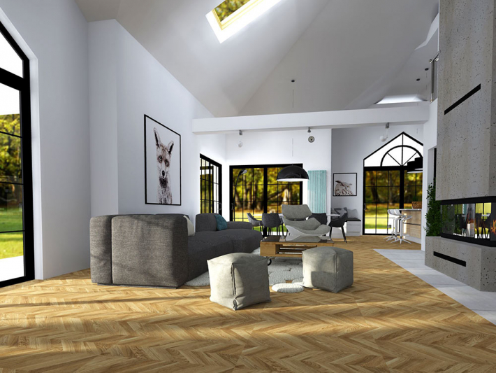 Architectural Home Design