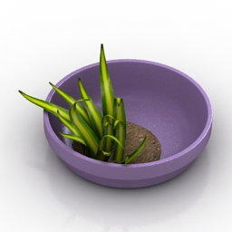 3D Plant preview