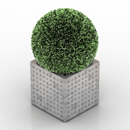 3D Plant preview