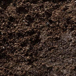 Ground