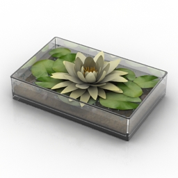 lily in a glass planter 3D Model Preview #d81ebeb7