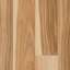 Linoleum