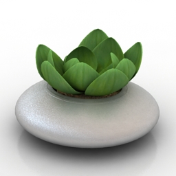 3D Plant preview