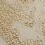 Stucco