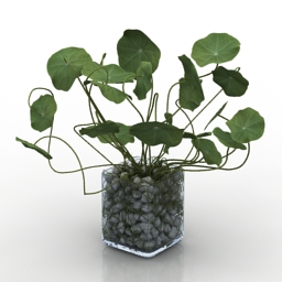 3D Plant preview