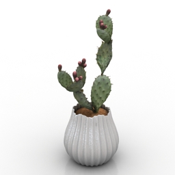 3D Cactus preview