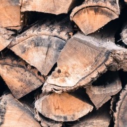 Logs