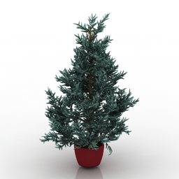 3D Blue spruce preview