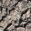 Stone