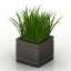 Flower pot