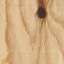 Plywood