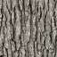 Bark