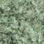 Granite