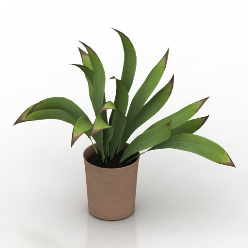 Plant 3D model large preview