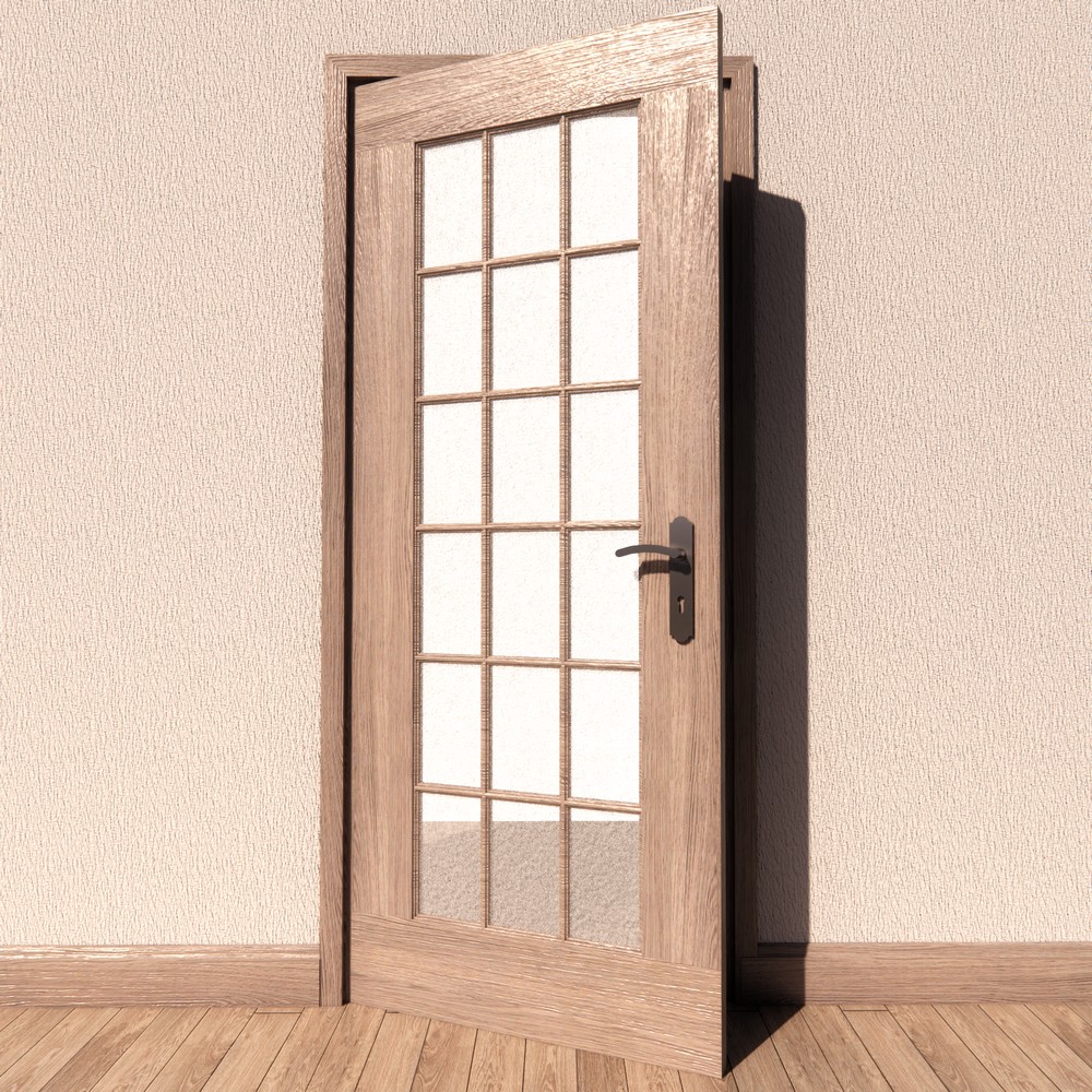 door-2 - 3D Model Preview #6b8f4d3a
